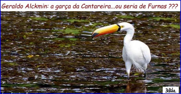 bessinha (6).jpg bessinha (6).jpg