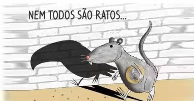 Nem todos são ratos.jpg Nem todos são ratos.jpg