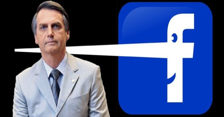 bolsonaro_fake_book800x350.png