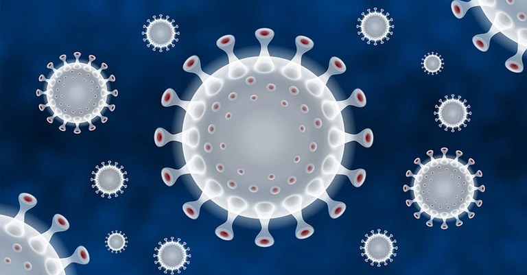 Virus.jpg Virus.jpg