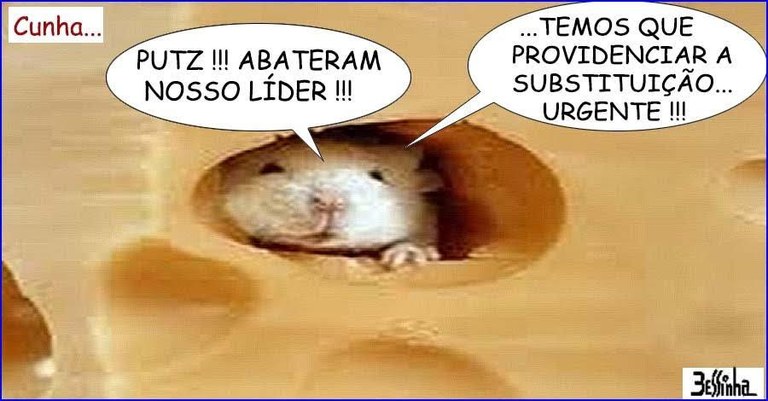 Queijo.jpg Queijo.jpg
