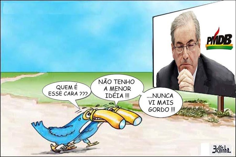 nunca vi.jpg nunca vi.jpg