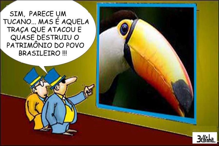 tucano.jpg tucano.jpg
