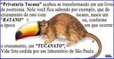 Ratucano.jpg Ratucano.jpg