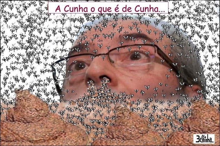 bessinha a cunha