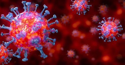 Total de óbitos ultrapassa 91 mil