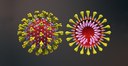 Coronavirus.jpg Coronavirus.jpg