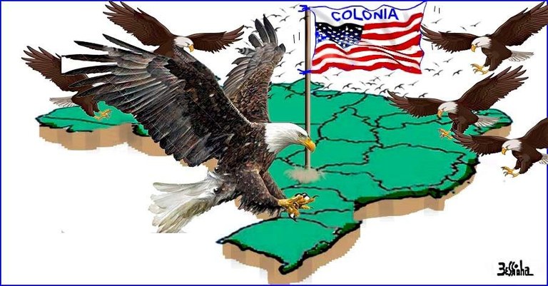 Coloinia.jpeg Coloinia.jpeg