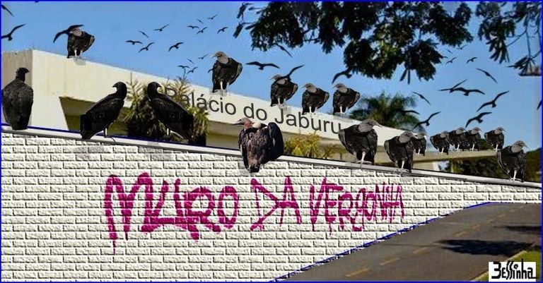 Muro Vergonha-1.jpg