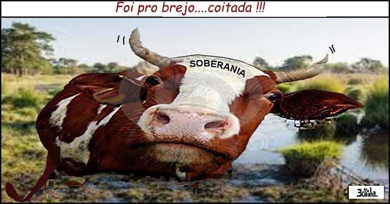Vaca.jpg Vaca.jpg