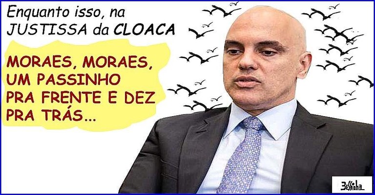 bessinha.jpg bessinha.jpg