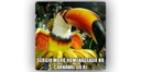 MoroTucano.jpg MoroTucano.jpg