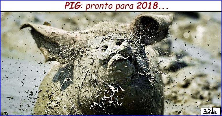 bessinha (3).jpg