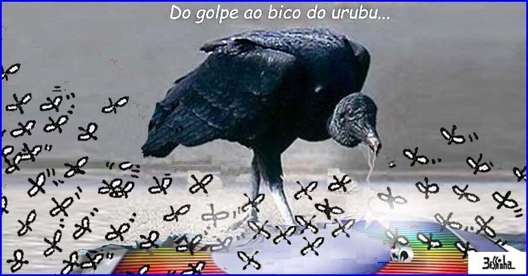 bessinha (5).jpg bessinha (5).jpg