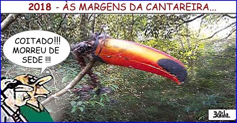 AlckTrabalho.jpg AlckTrabalho.jpg