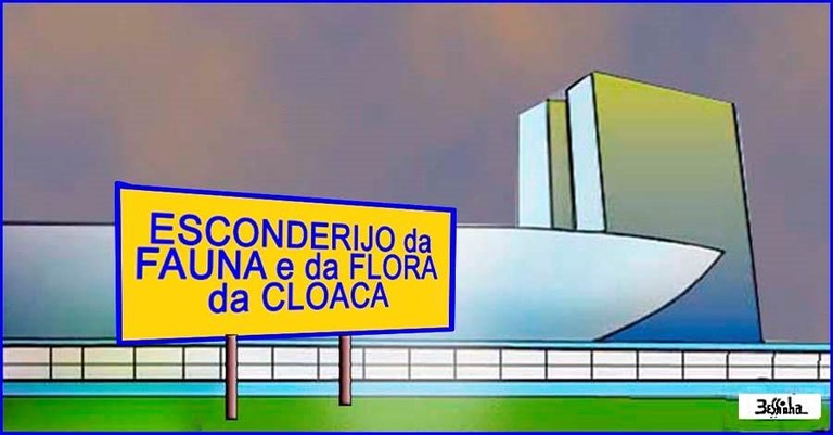 bessinha.jpg bessinha.jpg