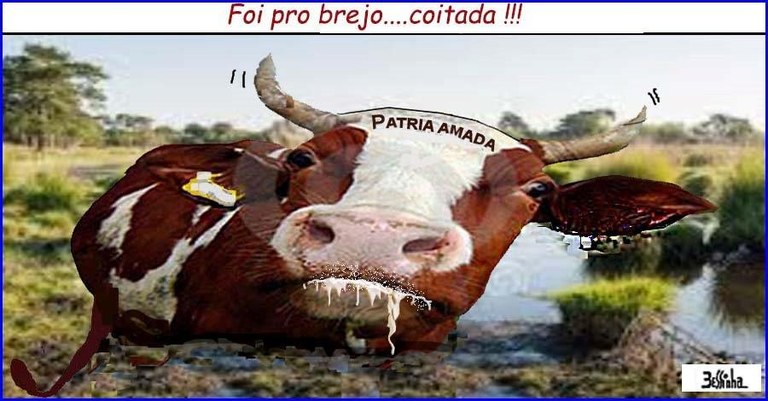 bessinha.jpg bessinha.jpg