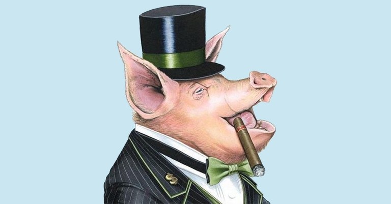 Pig.jpg