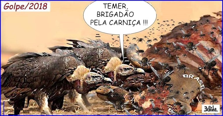 Carnica.jpg Carnica.jpg