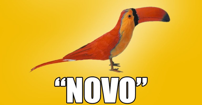 Novo2.jpg