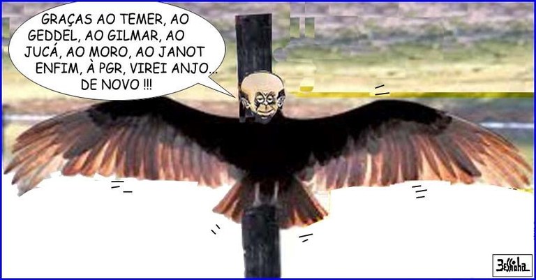 bessinha (1).jpg bessinha (1).jpg