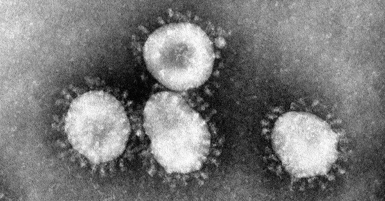 Coronavirus.jpg