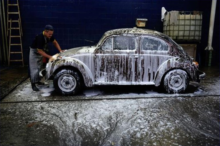 fusca fusca