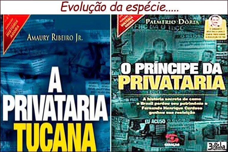 bessinha evolução da espécie