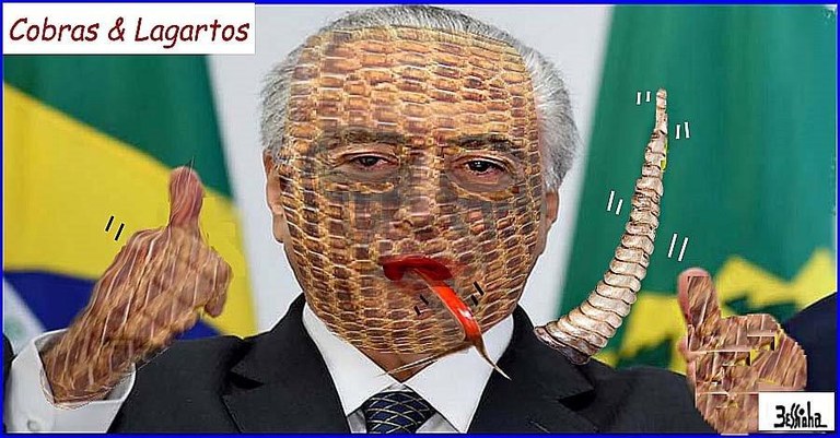 Cibras.jpg Cibras.jpg