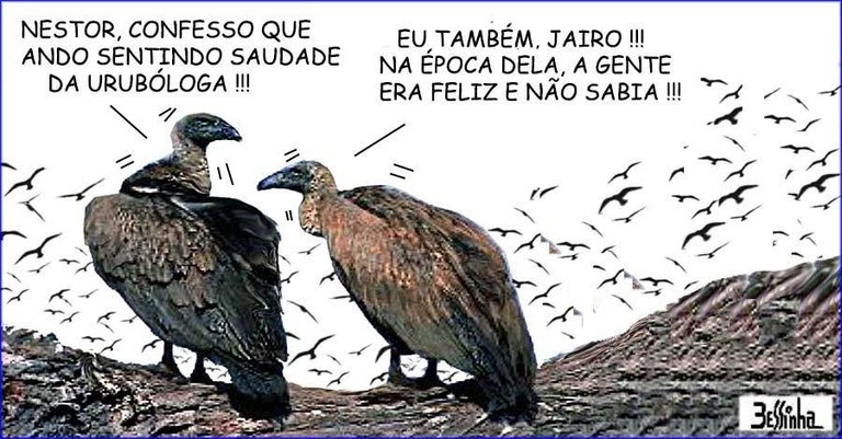 cegonha.jpg cegonha.jpg