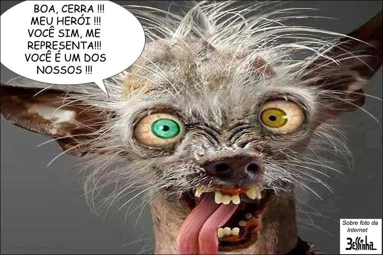 cerra.jpg cerra.jpg