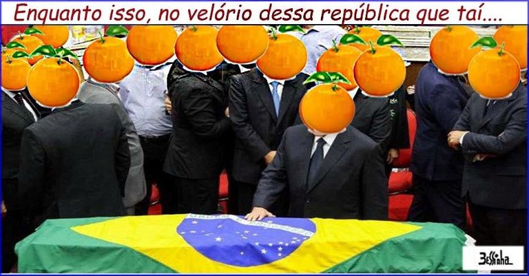 bessinha.jpg bessinha.jpg