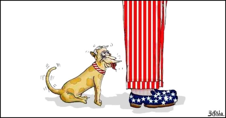 Cachorro.jpg Cachorro.jpg