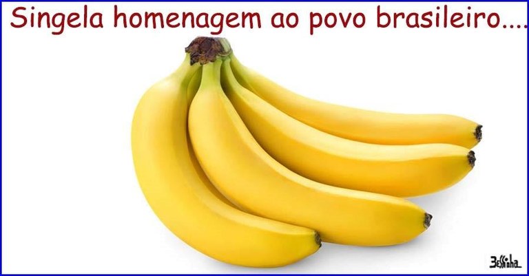 bessinha (3).jpg bessinha (3).jpg
