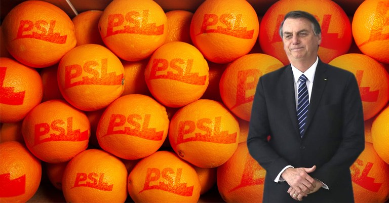 Laranjas.jpg Laranjas.jpg