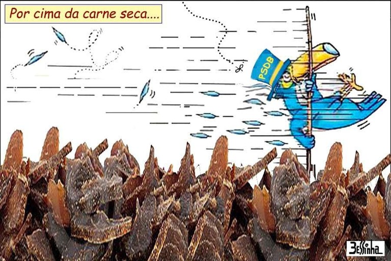 bessinha tucano na carne seca bessinha tucano na carne seca