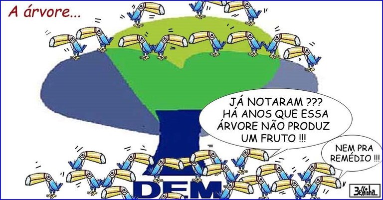 bessinha (2) (1).jpg bessinha (2) (1).jpg