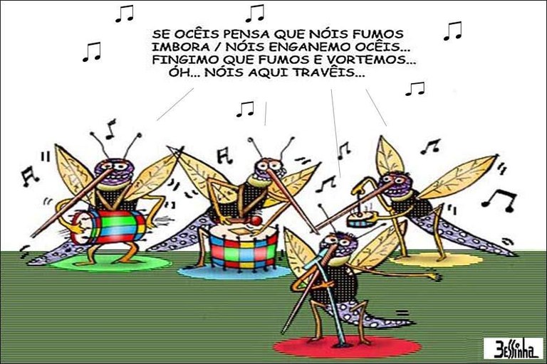 bessinha dengue bessinha dengue