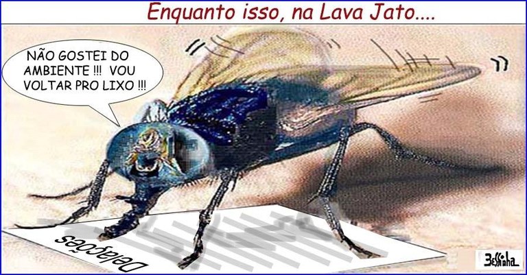 bessinha (8).jpg bessinha (8).jpg