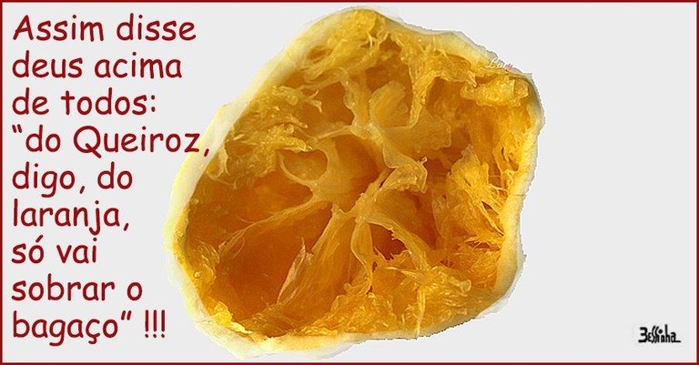 bessinha.jpg bessinha.jpg