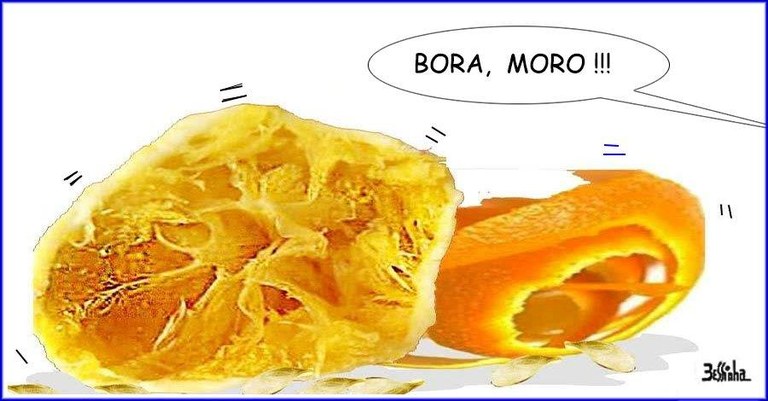 MoroLaranja.jpg MoroLaranja.jpg