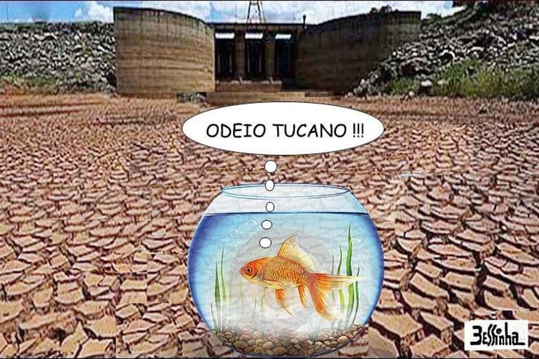 bessinha peixe odeia tucano bessinha peixe odeia tucano