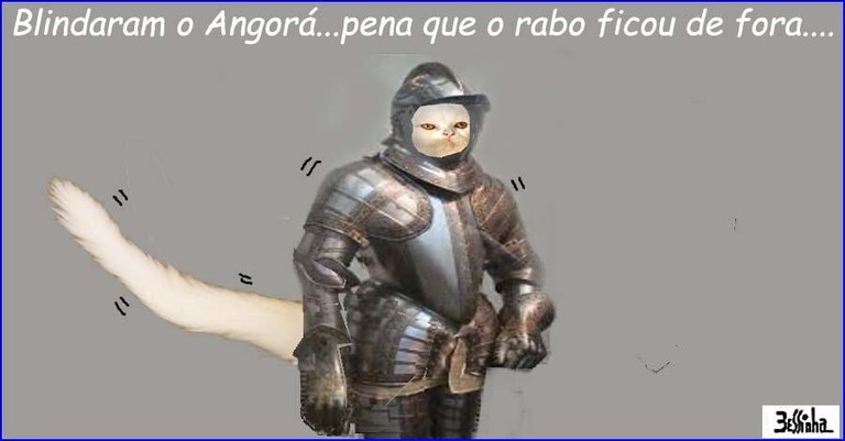 GatoBlindado.jpg