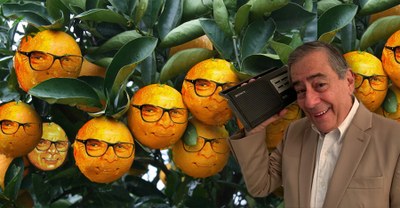 O Conge não vai! Por que?